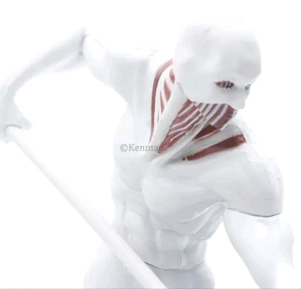 War Hammer Titan Premium Action Figure 6 inch